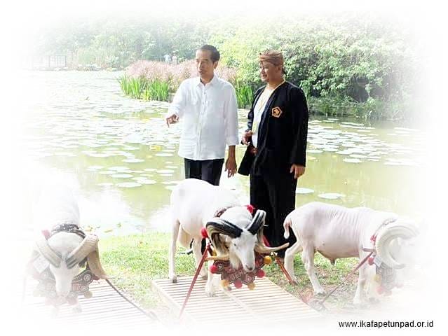 Yudi Guntara dan Presiden Republik Indonesia Joko Widodo