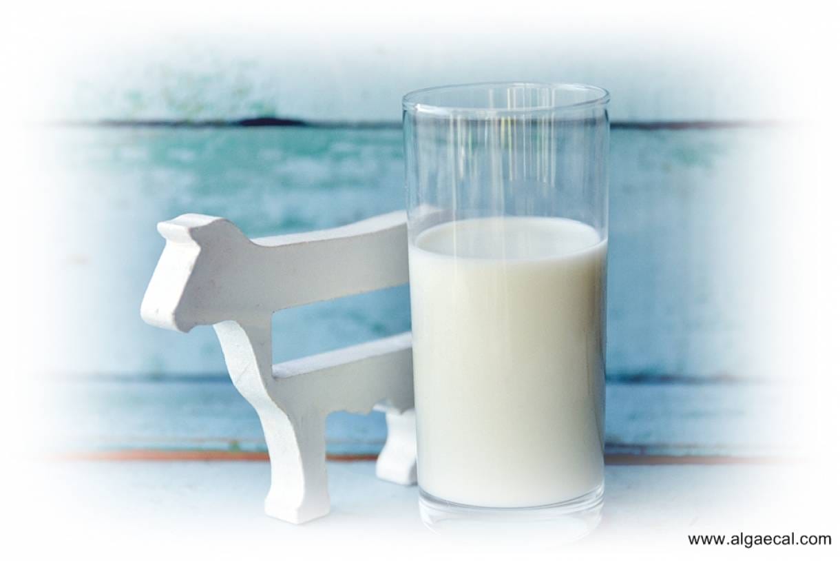 Perlakuan Yang Baik dan Benar Dapat Menjaga Kualitas Produk Susu Segar
