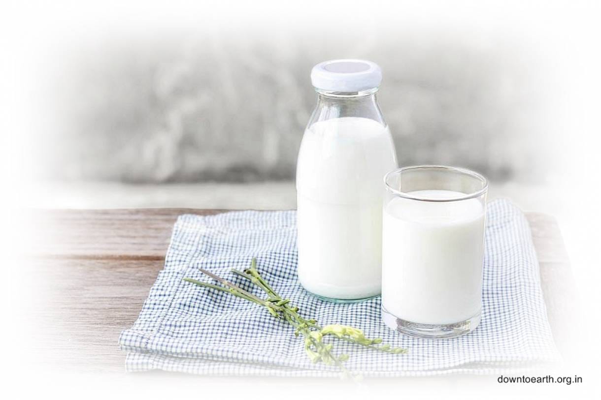 Benarkah Susu Sapi Bisa Memenuhi Kebutuhan Nutrisi Harian Manusia?